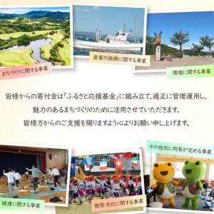 ふるさと納税 ペットスタジオPhopet 撮影プランA・全データお渡し 和歌山県印南町の画像