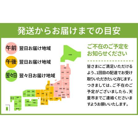 ふるさと納税 座イス ( メープル ) 2脚 セット 家具 イス 天童木工 08-19-069 山形県天童市_4
