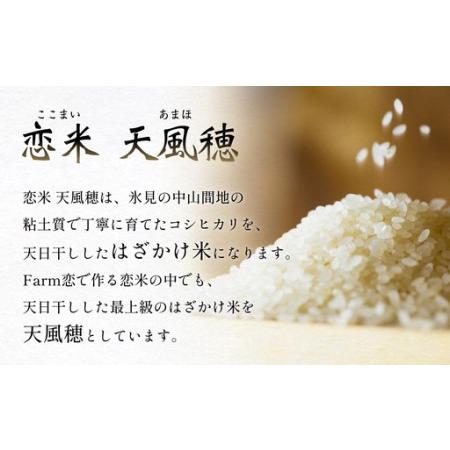 ふるさと納税 【先行予約】 令和8年産 富山県産 コシヒカリ はざかけ米 10kg 恋米（ここまい） ー天風穂（あまほ）ー ＜2026年10月初旬以降 順次.. 富山県氷見市の画像