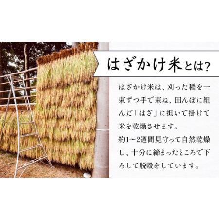 ふるさと納税 【先行予約】 令和8年産 富山県産 コシヒカリ はざかけ米 10kg 恋米（ここまい） ー天風穂（あまほ）ー ＜2026年10月初旬以降 順次.. 富山県氷見市の画像
