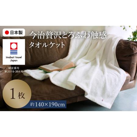 ふるさと納税 今治贅沢とろふわ触感 タオルケット(1枚) 今治タオル 今治タオルケット タオルケット 日本製 高級タオルケット とろふわタオルケッ.. 大阪府箕面市