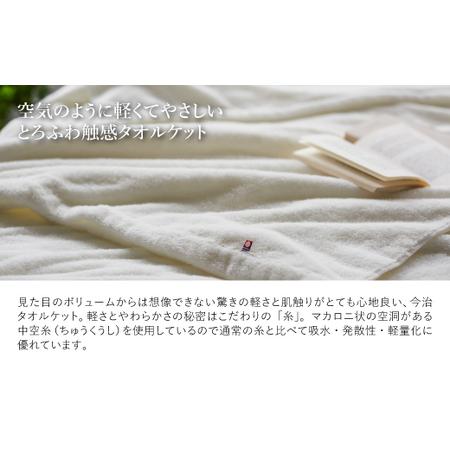 ふるさと納税 今治贅沢とろふわ触感 タオルケット(1枚) 今治タオル