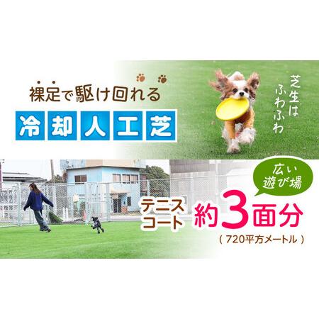ふるさと納税 ドッグラン利用券(24回分) / ドッグラン 犬 施設 利用券 利用チケット 回数券 ペット / 諫早市 / 株式会社美泉[AHAP044] 長崎県諫早市の画像