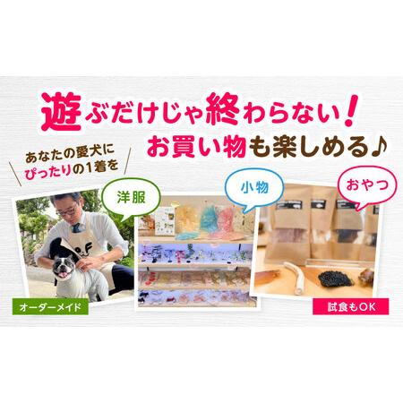 ふるさと納税 ドッグラン利用券(24回分) / ドッグラン 犬 施設 利用券 利用チケット 回数券 ペット / 諫早市 / 株式会社美泉[AHAP044] 長崎県諫早市の画像