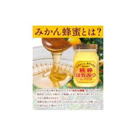 ふるさと納税 純粋はちみつ(みかん蜂蜜)ギフトセット ２本セット 1200g×1本＋450g×1本 梅田養蜂場《90日以内に出荷予定(土日祝除く).. 和歌山県岩出市の画像