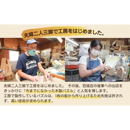 ふるさと納税 恐竜のたまご 木製パズルセット 10ピース入り 安心塗装 クラフトバードウッド 河内長野 大阪 木工 積み木 積木 つみき 木のお.. 大阪府河内長野市_3