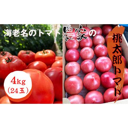 ふるさと納税 ★2026年収穫分 数量限定 先行予約★海老名のトマト農家の桃太郎トマト 4kg(24玉)[出荷時期:2026年5月15.. 神奈川県海老名市