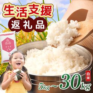 ふるさと納税 【令和7年産含む】 近江ブレンド米 20kg 愛荘町産 白米