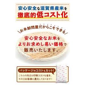 ふるさと納税 【令和7年産含む】 近江ブレンド米 20kg 愛荘町産 白米