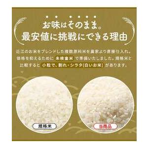 ふるさと納税 【令和7年産含む】 近江ブレンド米 20kg 愛荘町産 白米
