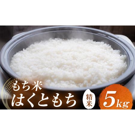 ふるさと納税 耶馬渓産もち米 5kg | お米 米 精米 おこめ こめ もち米 はくともち 餅 お餅 国産米 5キロ 大分県産 九州産 大分県 中津市 大分県中津市