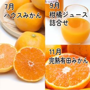 ふるさと納税 厳選 柑橘定期便M（奇数月）全6回 ［IKE293］ 和歌山県印南町_3