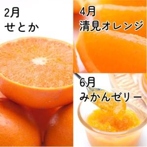 ふるさと納税 厳選 柑橘定期便M（偶数月）全6回 ［IKE294］ 和歌山県印南町_2