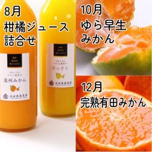 ふるさと納税 厳選 柑橘定期便M（偶数月）全6回 ［IKE294］ 和歌山県印南町_3