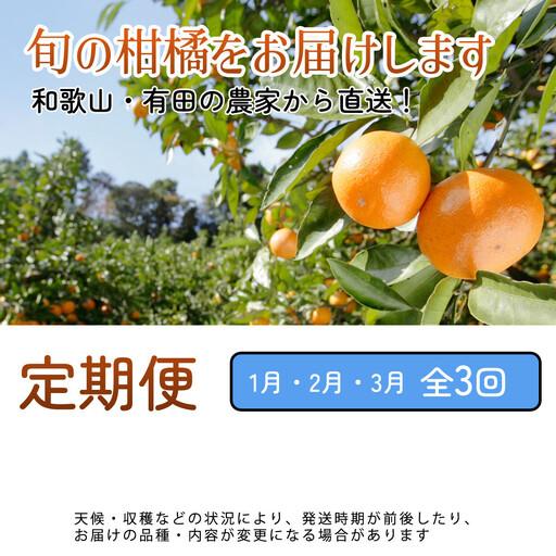 ふるさと納税 身寄り用 柑橘定期便S（1〜3月）全3回 ［IKE303］ 和歌山県印南町