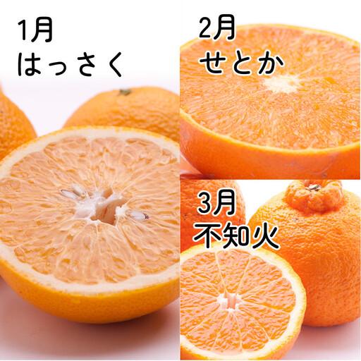 ふるさと納税 身寄り用 柑橘定期便S（1〜3月）全3回 ［IKE303］ 和歌山県印南町