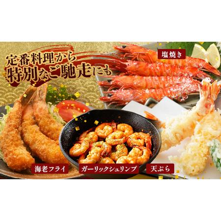 ふるさと納税 こだわりの車海老　有頭車海老（冷凍）250ｇ×3パック F009｜沖縄県 与那国町 与那国 車海老 車エビ 海老 えび エビ 産地直.. 沖縄県与那国町_3
