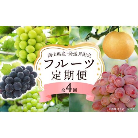 ふるさと納税 [発送月固定定期便]岡山県産 フルーツ定期便全4回[配送不可地域:離島・北海道・沖縄県][4075037] 岡山県津山市