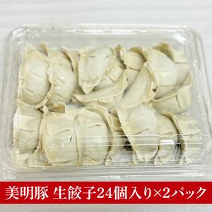 ふるさと納税 【数量限定】【最短7日発送】ブランド豚 肉屋が作る 美明豚 生餃子 24個入り×2パック 肉 豚肉  国産 茨城県産 すぐ 届く(HI-5.. 茨城県行方市の画像