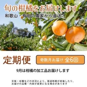 ふるさと納税 厳選 柑橘定期便S（奇数月）全6回［IKE287］ 和歌山県和歌山市_1