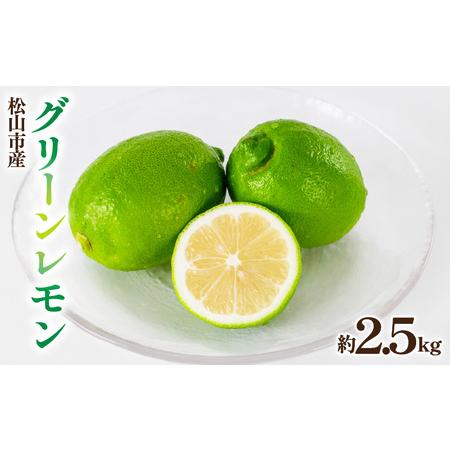 ふるさと納税 [数量限定]グリーンレモン 約2.5kg | レモン フルーツ 果物 れもん 国産 愛媛県 松山市 [KNN005] 愛媛県松山市