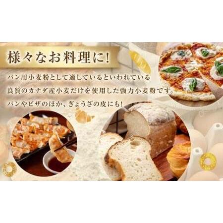 ふるさと納税 強力小麦粉 クオリテ 1kg×15個 合計15kg ／ 小麦粉 小麦 強力粉 粉 パン ピザ ぎょうざの皮 料理 常温 茨城県神栖市の画像