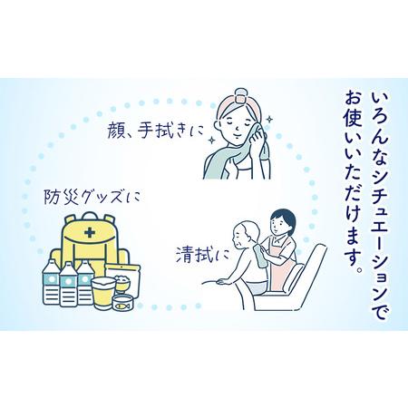 ふるさと納税 ハクゾウうるおいケアタオル L 大判厚手 280×600mm 50本入×2袋 ハクゾウメディカル《30日以内に出荷予定(土日祝除く)》.. 熊本県菊池市_3