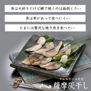 ふるさと納税 【訳あり・家庭用】薩摩の灰干し 鯖 1.2kg (浜上水産/IB038-006) 魚 干物 骨取り 骨なし 鯖 サバ 灰干し 国産 鹿児島県指宿市