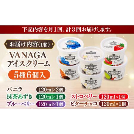 ふるさと納税 アイス 【全3回定期便】5種類のアイスクリーム6個入[AIBH026] 島根県雲南市の画像