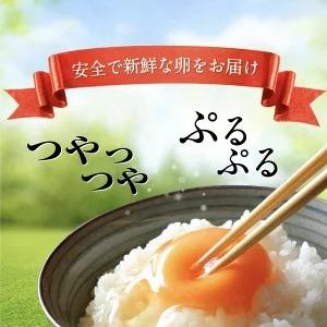ふるさと納税 【定期便6ヶ月】匠の卵 20個(割れ玉補償２個）7％の卵｜たまご　卵　玉子　鶏卵　生卵　プレミアム　優秀賞　愛知県　美浜町　国産.. 愛知県美浜町