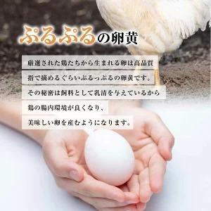 ふるさと納税 【定期便6ヶ月】匠の卵 20個(割れ玉補償２個）7％の卵｜たまご　卵　玉子　鶏卵　生卵　プレミアム　優秀賞　愛知県　美浜町　国産.. 愛知県美浜町