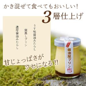ふるさと納税 【 数量限定 】 みたらし醤油屋プリン 100g×12個 完熟醤油みたらしの和風プリン | スイーツ 和スイーツ お菓子 菓子 プリン .. 大分県中津市の画像