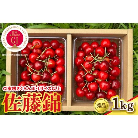 ふるさと納税 2026年産 GI東根さくらんぼ「佐藤錦」 秀品 Lサイズ以上 1kgバラ詰め(500g×2パック) 山形県 東根市 フルーツピッカー提供 h.. 山形県東根市