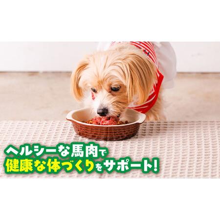 ふるさと納税 【全12回定期便】国内加工 ペット用 馬肉 切り落とし 約2kg ペットフード ペットフード  BHCY060 熊本県菊陽町の画像