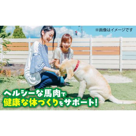 ふるさと納税 【全12回定期便】詰め合わせ 国内加工 ペット用 馬肉 切り落とし 約1kg ペット用 馬刺しジャーキー 約100g BHCY068 熊本県菊陽町の画像
