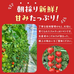 ふるさと納税 【令和8年5月下旬〜発送】ながなわ農園のフルティカトマト　2kg｜  ちょっと贅沢な甘美なトマト  数量限定 トマト フルーツ 甘い .. 長野県阿智村_2