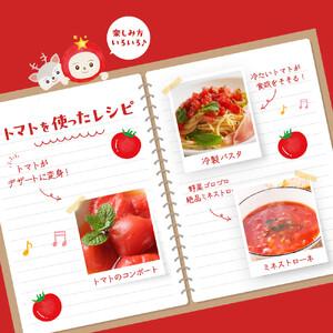 ふるさと納税 【令和8年5月下旬〜発送】ながなわ農園のフルティカトマト　2kg｜  ちょっと贅沢な甘美なトマト  数量限定 トマト フルーツ 甘い .. 長野県阿智村_3