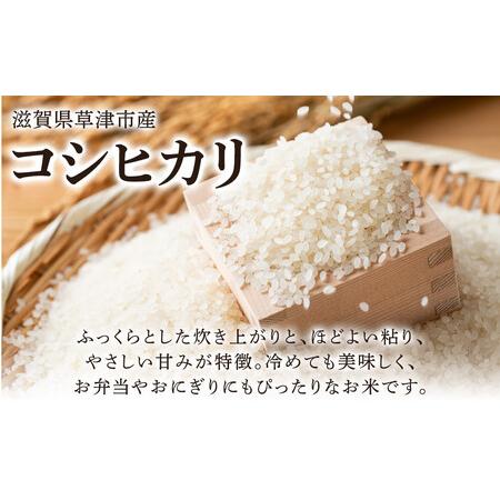 ふるさと納税 令和7年産 近江米コシヒカリ（玄米）5kg×4 計20kg  滋賀県草津市の画像