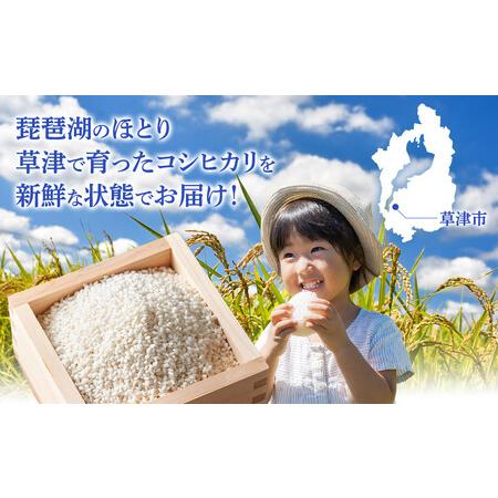 ふるさと納税 令和7年産 近江米コシヒカリ（玄米）5kg×4 計20kg  滋賀県草津市の画像