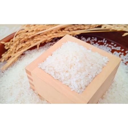 ふるさと納税 【全3回定期便】夢しずく 白米 10kg（5kg×2袋） / お米 ふるさと納税 送料無料 / 佐賀県 / 大塚米穀店 [41ANAD027] 佐賀県_3