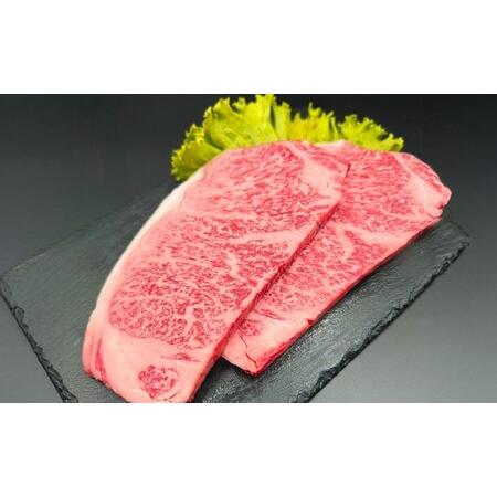 ふるさと納税 おおいた和牛 サーロインステーキ 計2枚 ステーキソース付き 大分県竹田市