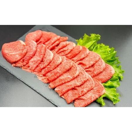 ふるさと納税 [赤身づくし!] おおいた和牛 赤身焼肉 ・ 赤身スライス ・ 赤身ステーキ 各約400g 計約1.2kg 大分県竹田市