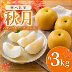 ふるさと納税 [2026年先行予約] 秋月 3kg 真岡市産 梨 なし 栃木県真岡市