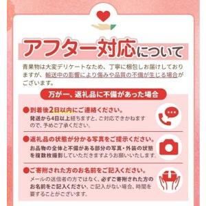 ふるさと納税 【2026年先行予約】 甘太 5kg 真岡市産 梨 なし 栃木県真岡市_2