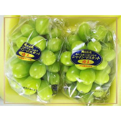ふるさと納税 vv-110【令和8年発送・先行予約】フルーツ定期便　全3回コースB 岡山県和気町_2