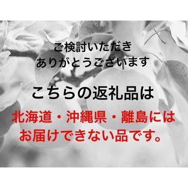 ふるさと納税 vv-110【令和8年発送・先行予約】フルーツ定期便　全3回コースB 岡山県和気町_4