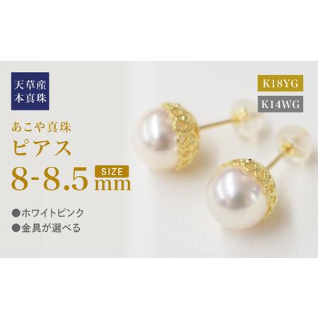 ふるさと納税 S101-426_あこや真珠 天草 熊本 ピアス 菊皿 8mm - 8.5mm 花型 ホワイトピンク K18 K14 本真珠 熊本県天草市