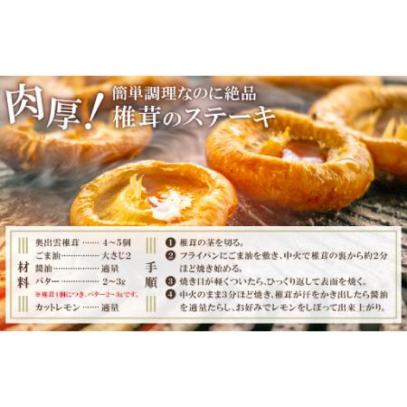 ふるさと納税 「奥出雲椎茸」プレミアム贈答品【椎茸 生しいたけ 1kg 収穫直後 サイズ混合 新鮮 旨味たっぷり 菌床栽培 国産 きのこ キノコ 野.. 島根県奥出雲町_2
