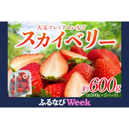 ふるさと納税 [ふるなびWEEK対象][先行予約] プレミアムいちご「スカイベリー 2パック」計約600g [2026年1月中旬から順次発送]|スカイベリー .. 栃木県日光市