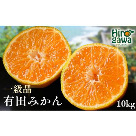 ふるさと納税 有田みかん 10kg / 和歌山 有田 広川 みかん ミカン 柑橘 果物 くだもの ギフト フルーツ 果実 ※1月上旬〜2月下旬頃に順次発送.. 和歌山県広川町